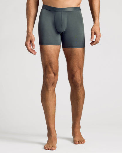 Carbon & Navy Boxer Briefs 6-Pack