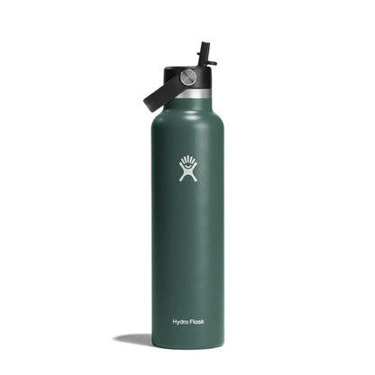Hydro Flask® 24oz Standard Mouth Flex Straw Cap Water Bottle|S24FS332