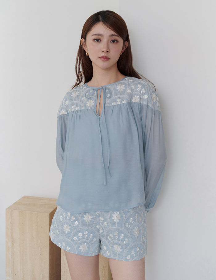 Moraine Embroidered Shorts in Blue