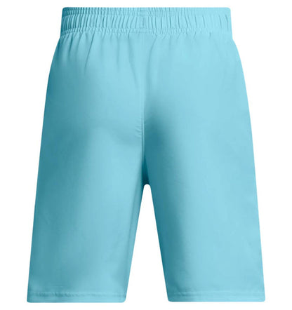 Under Armour Boys' UA Tech Woven Wordmark Shorts|1383341914YS,1383341914YM,1383341914YL,1383341914YXL