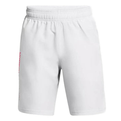 Under Armour Boys' UA Tech Woven Wordmark Shorts|1383341014YS,1383341014YM,1383341014YL,1383341014YXL